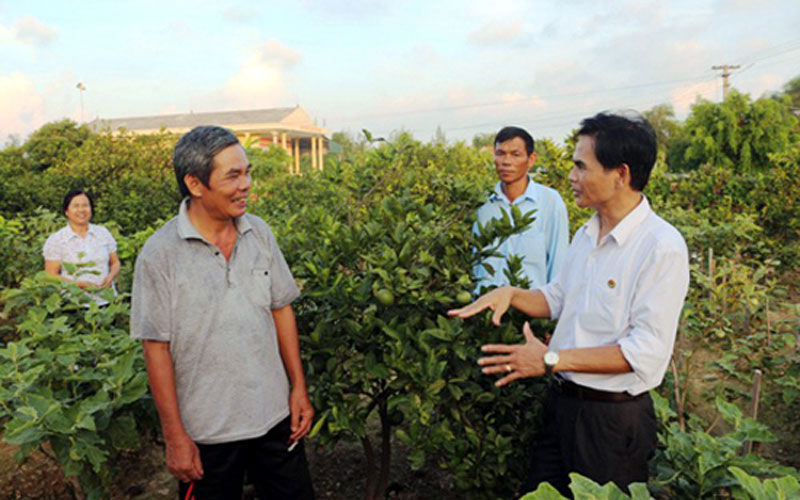 Ông Trần Huy Oánh - Chánh văn phòng Điều phối nông thôn mới tỉnh (bên phải) kiểm tra các mô hình vườn mẫu trên địa bàn tỉnh.